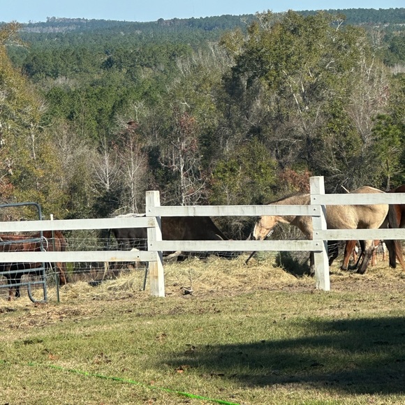 Meet your Posher, Ren?e - Picture 2 of 11